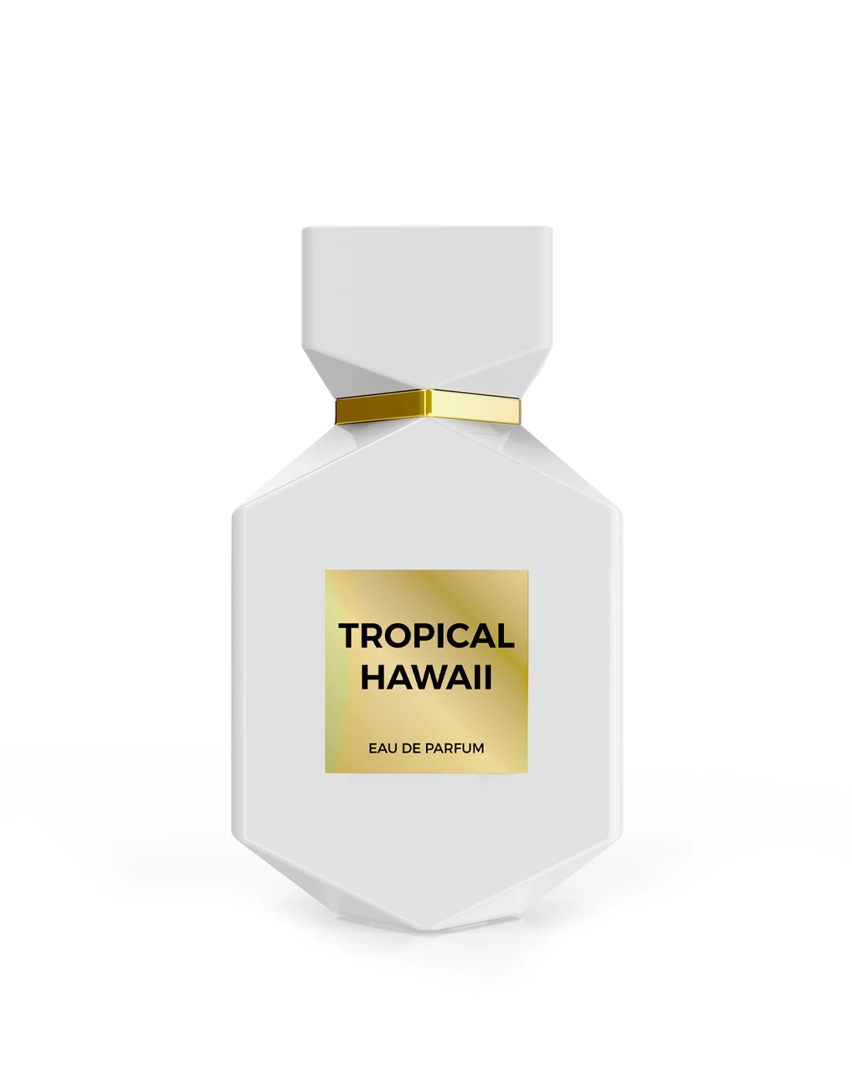 Tropical Hawaii (Unisex) - 100ML Edp by Camara Perfumes